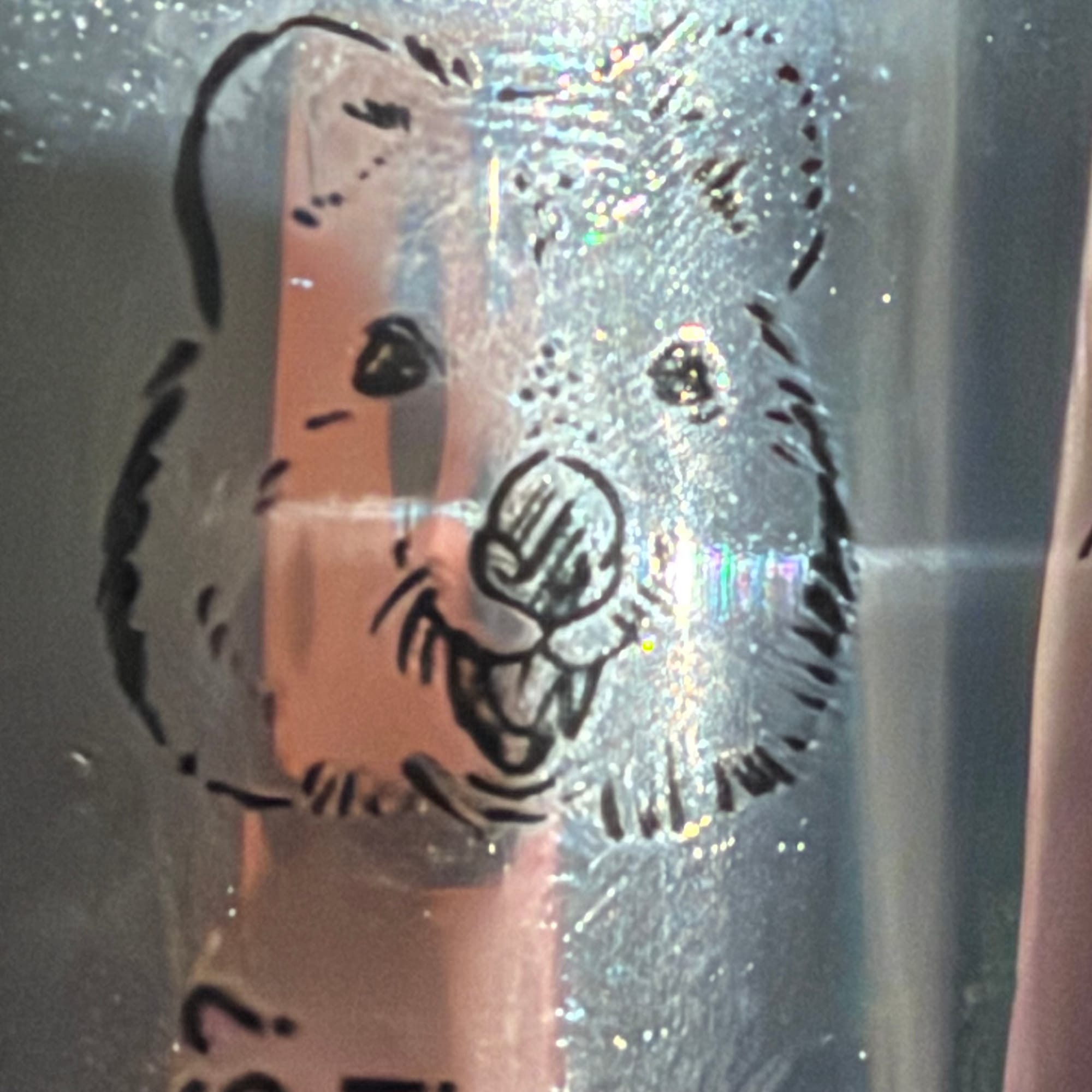 Dangerous Ales Extra Dangerous XPA artwork and detail