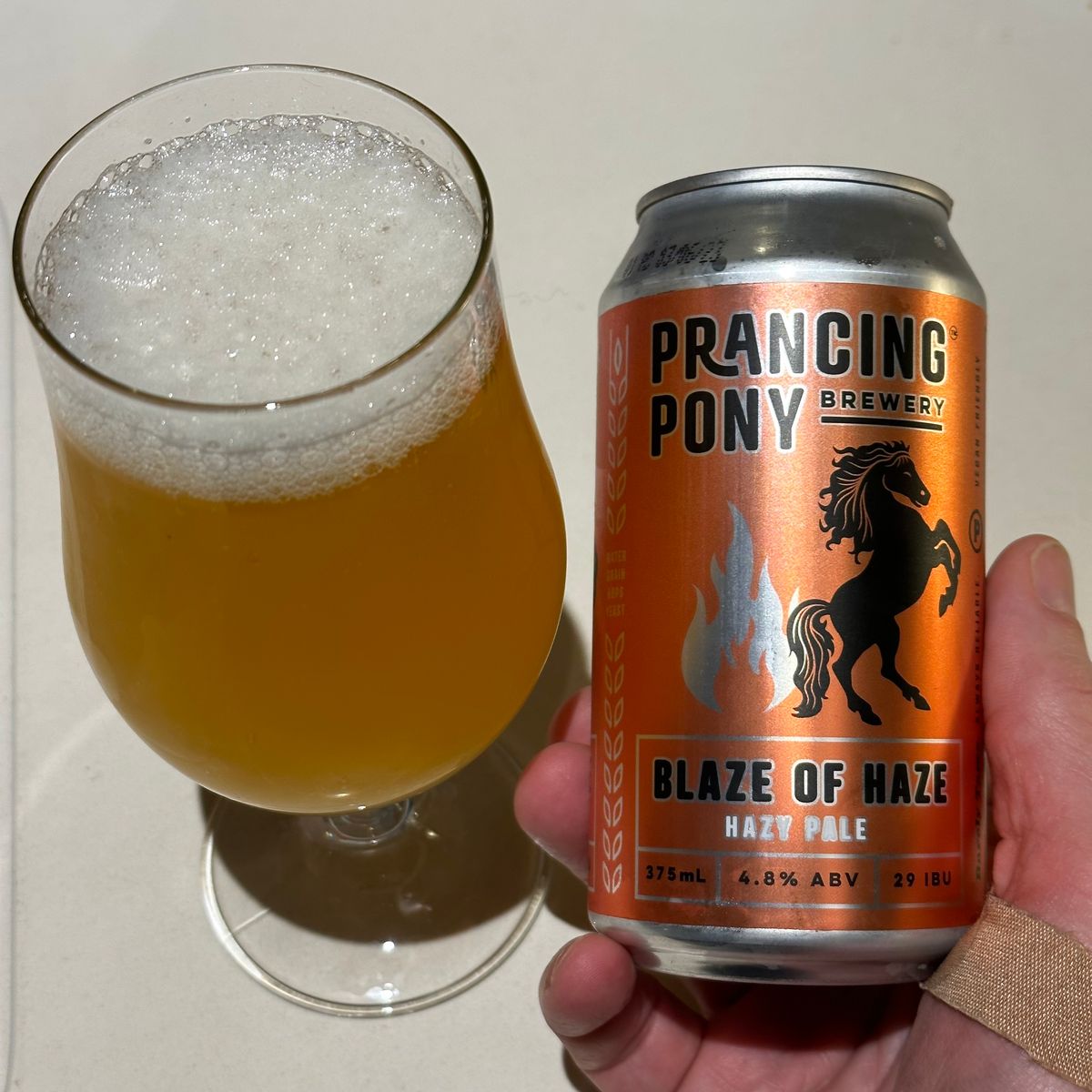 Prancing Pony's Blaze of Haze, Hazy Pale