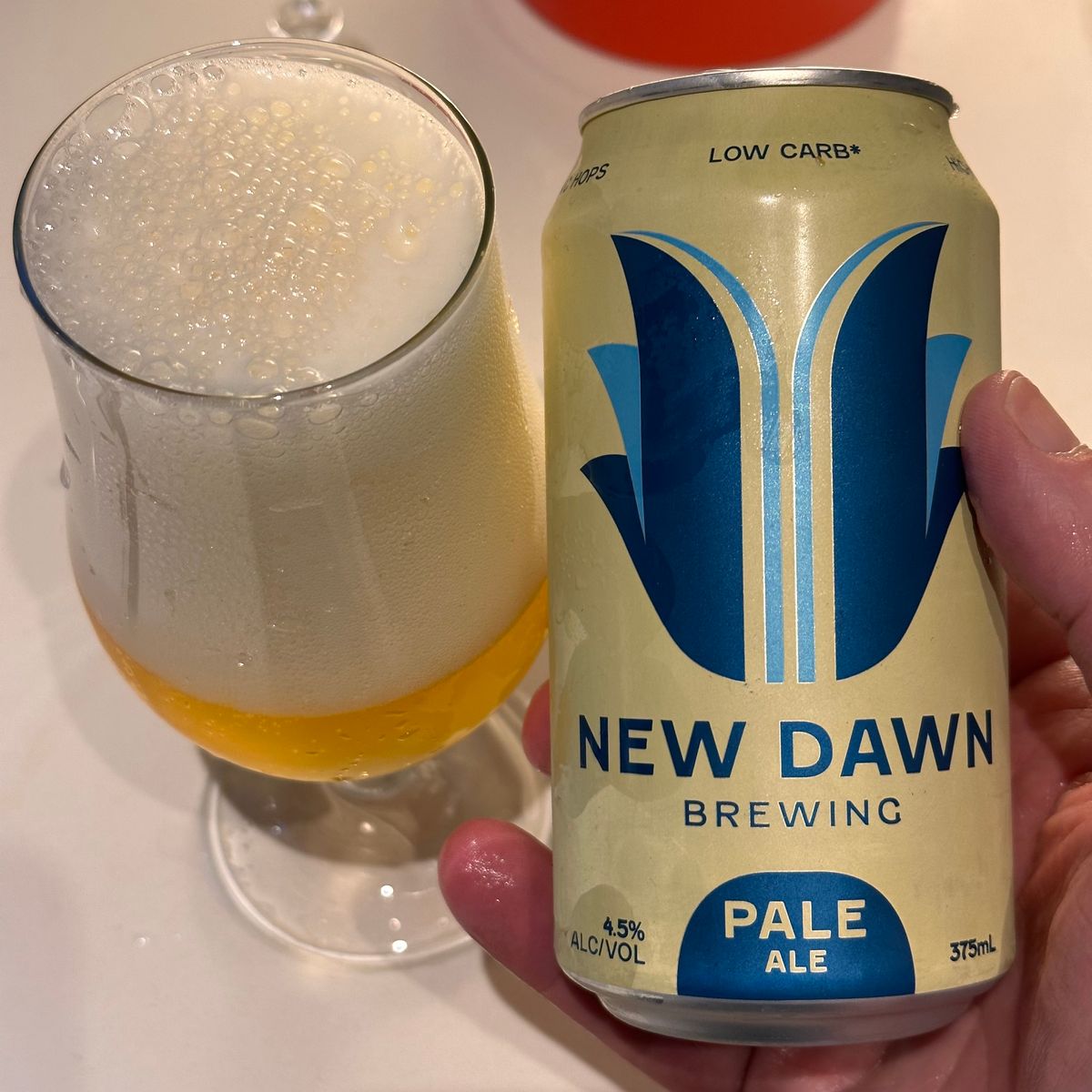 New Dawn Brewing Pale Ale ("low carb")