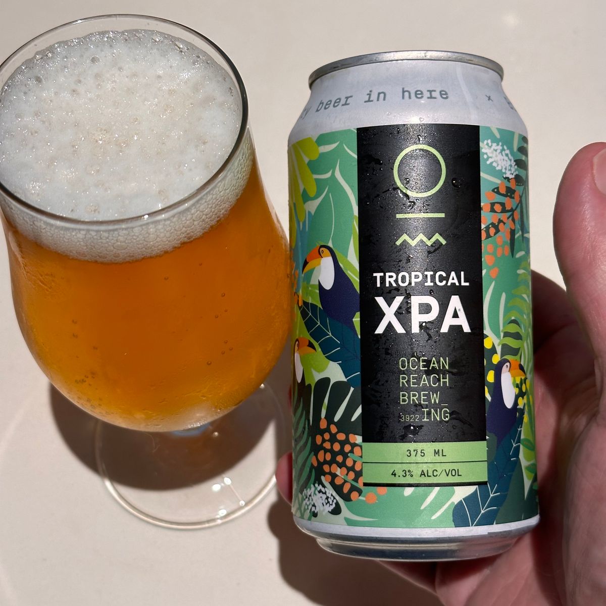 Ocean Reach Brewing Tropical XPA