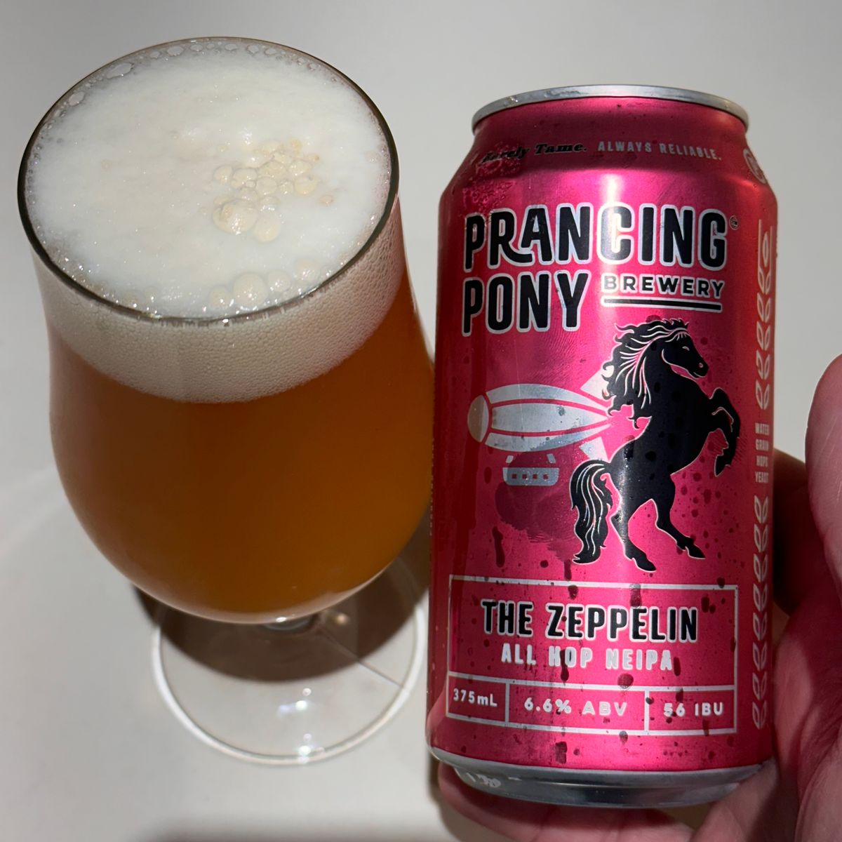 Prancing Pony Brewery The Zeppelin All Hop NEIPA