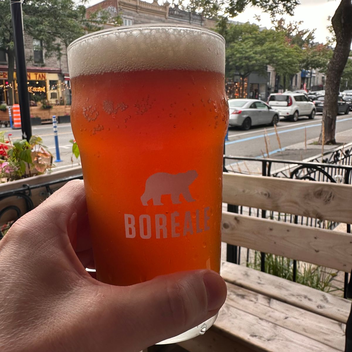Boreale IPA at L'Évidence