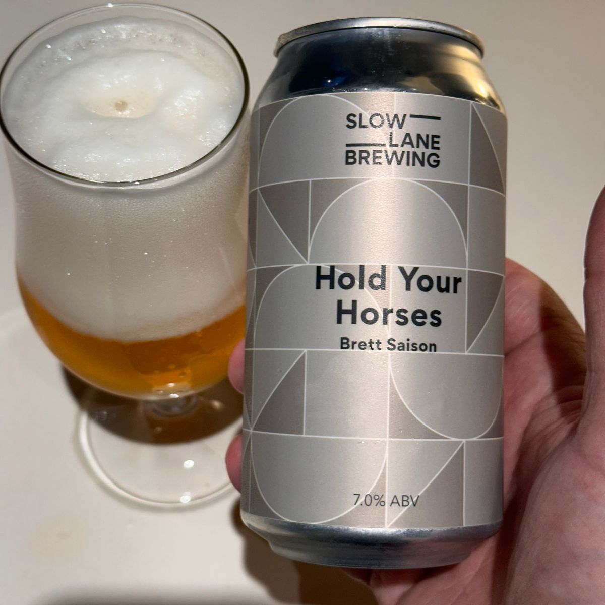 Slow Lane Brewing Hold Your Horses Brett Saison