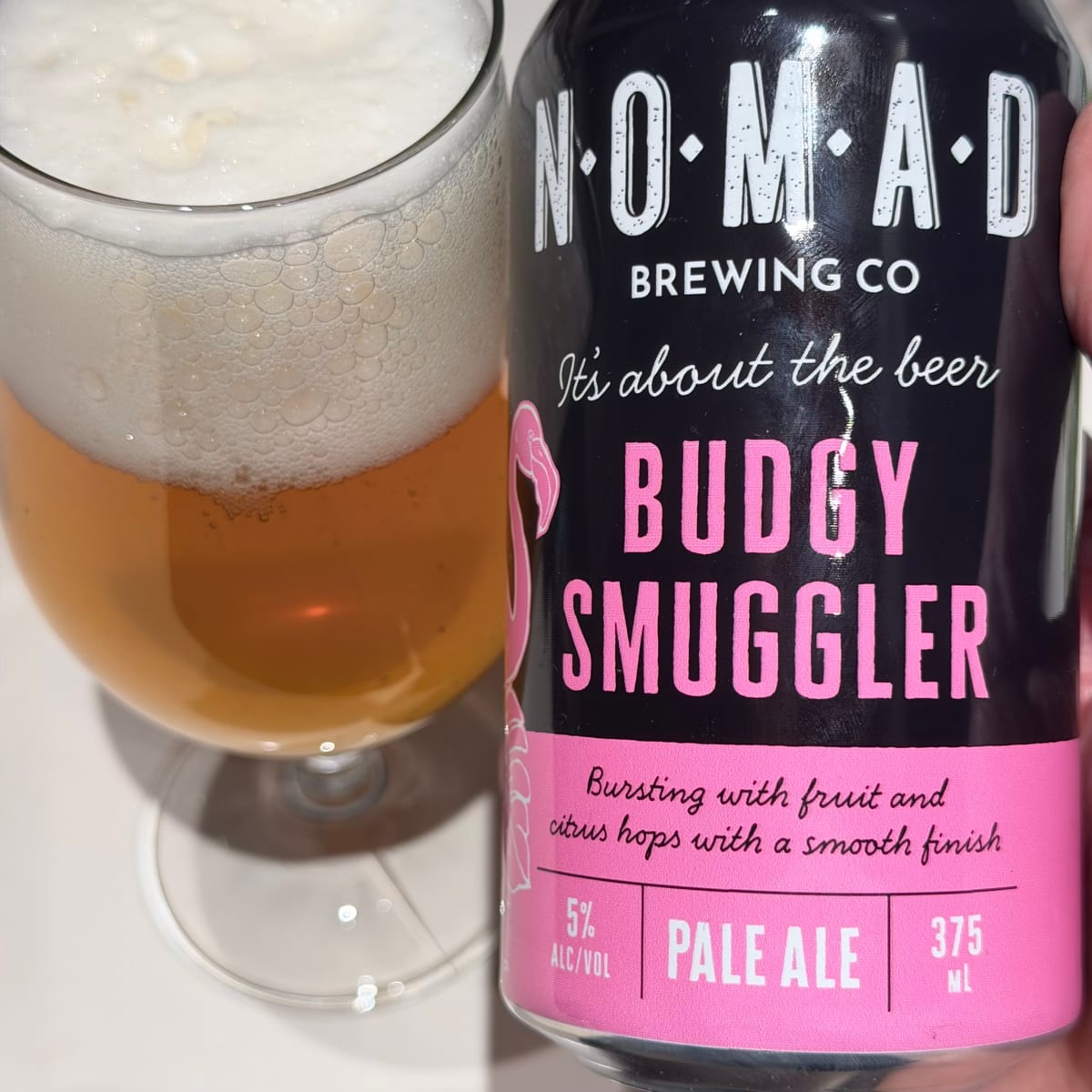 Nomad Budgy Smuggler