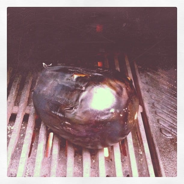roasting eggplant...