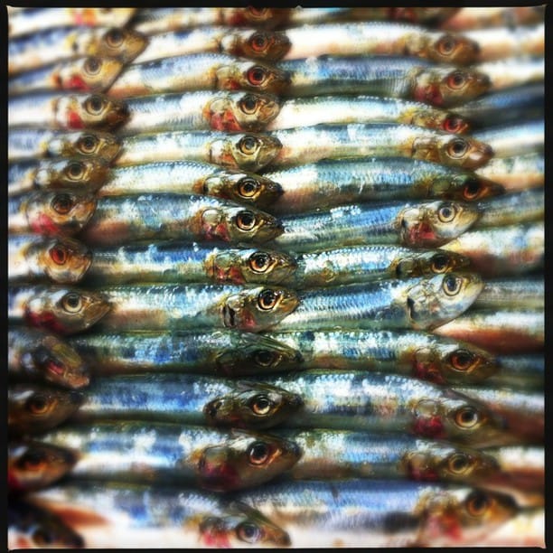 fish markets! #Hipstamatic #Loftus #DC...