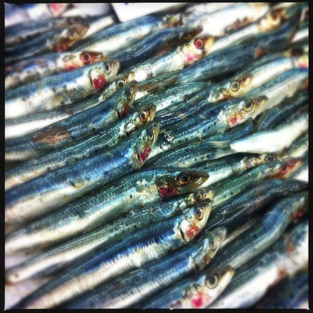 #Hipstamatic #Loftus #DC...