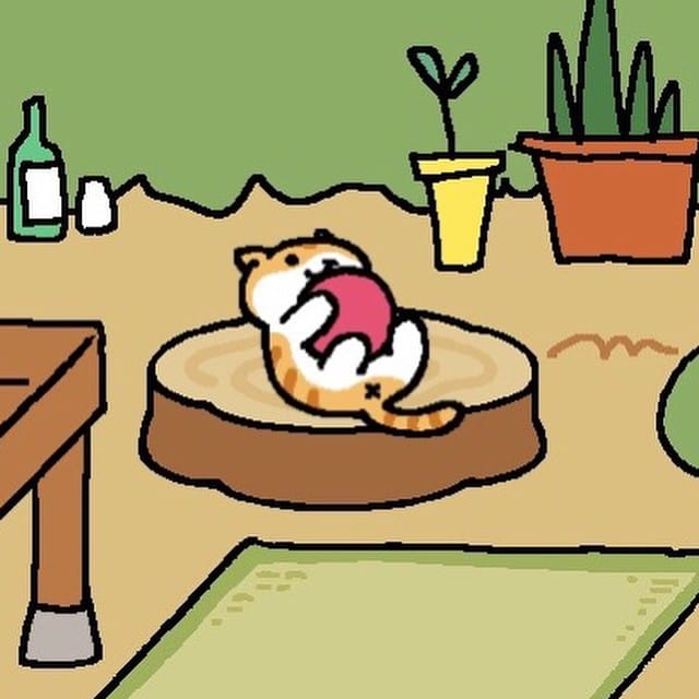 kitten...
