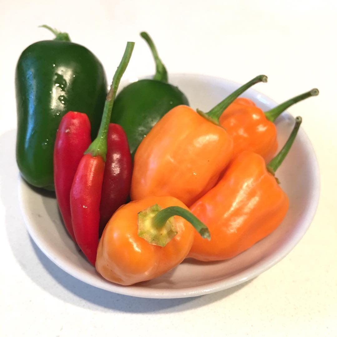 Wednesday, the morning harvest....
