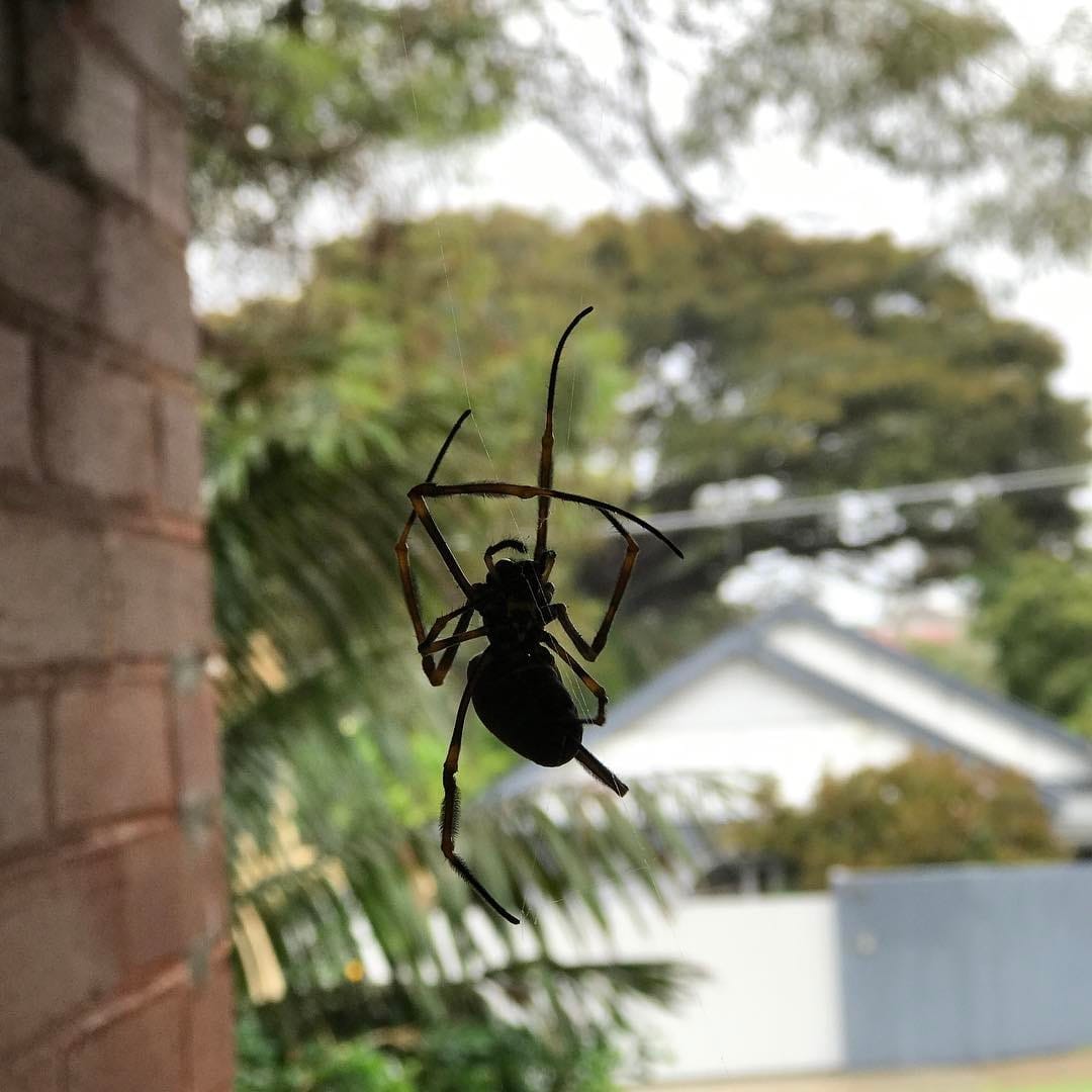 uhhhh, how about nope...