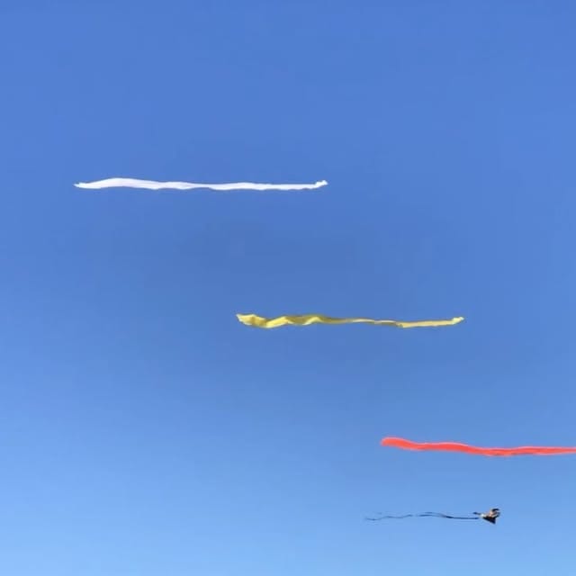 festival of the winds...