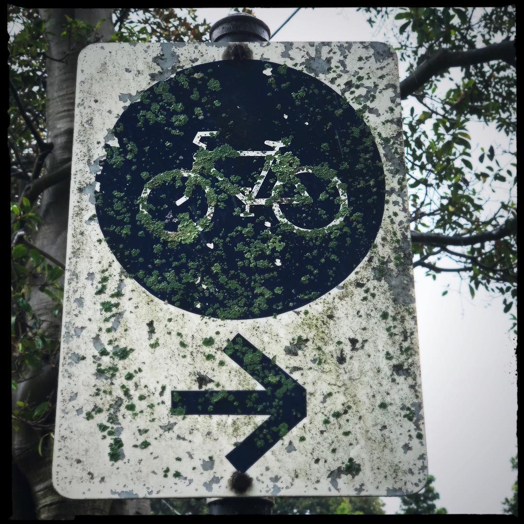 lichen ma photo?...