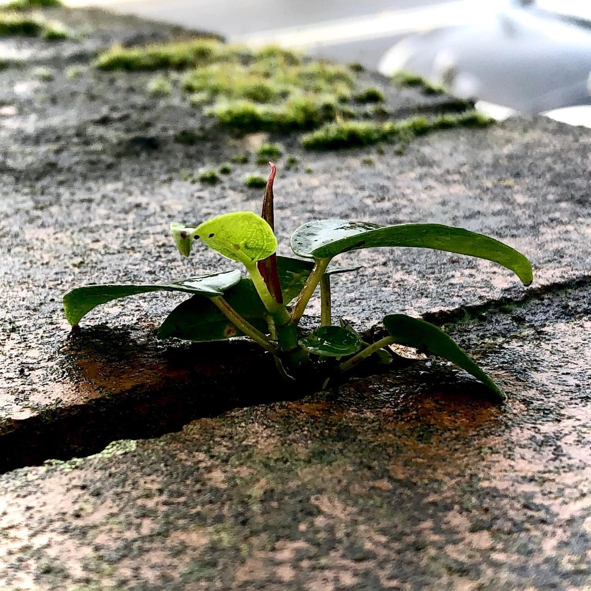 persistence...