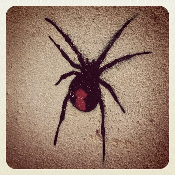 Redback...