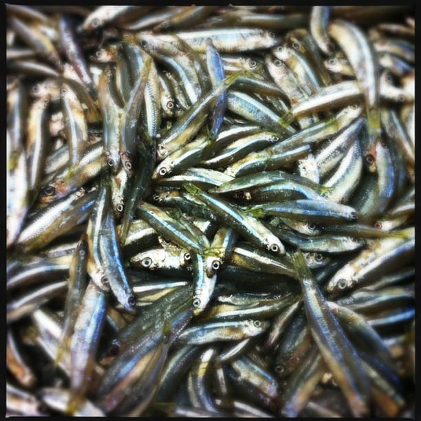 #Hipstamatic #Loftus #DC...