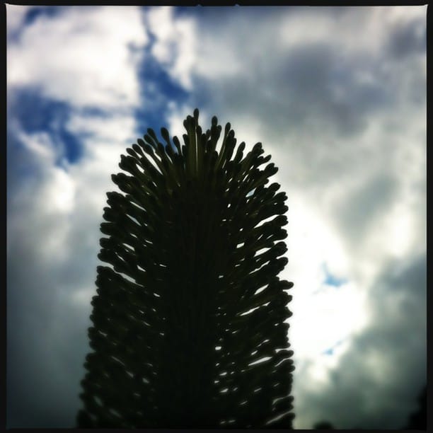 #Hipstamatic #Loftus #DC...