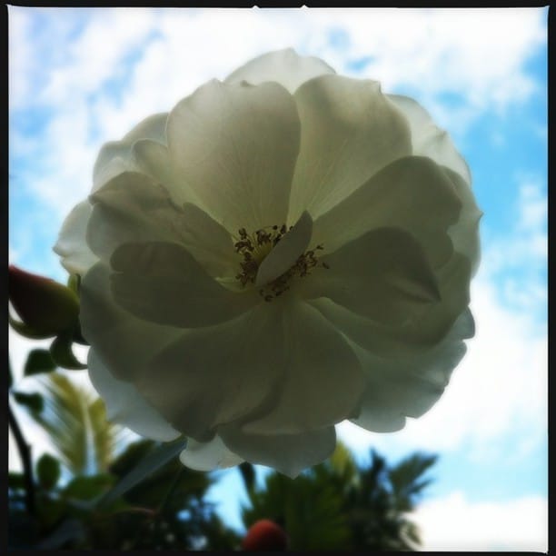 #Hipstamatic #Loftus #DC...