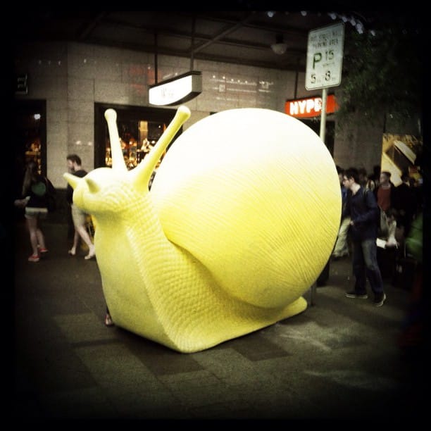 CBD overrun by giant molluscs...