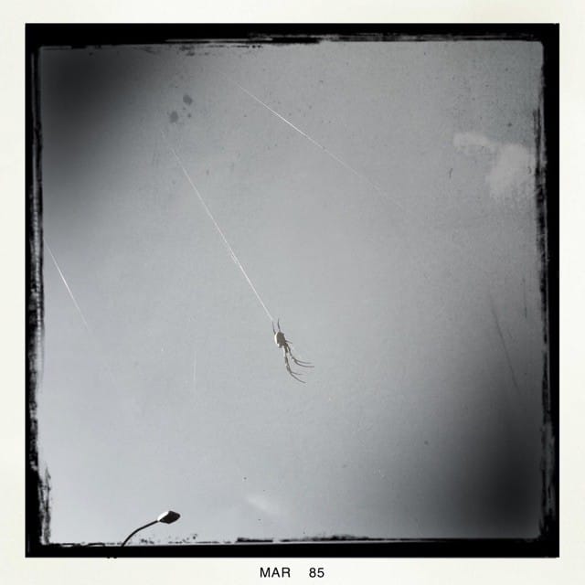 sky spiders attack! #Hipstamatic #BuckhorstH1...