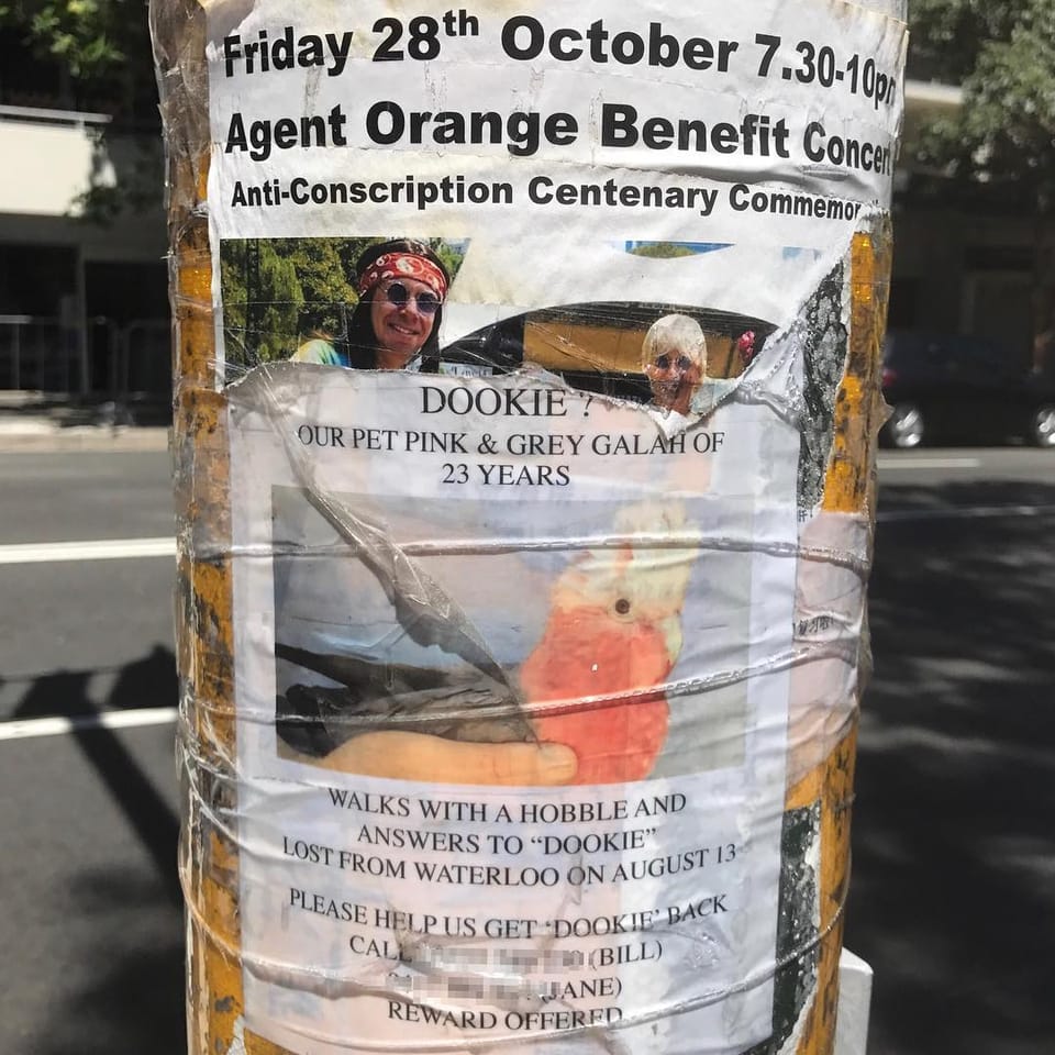 #straya somebody lost their dookie...