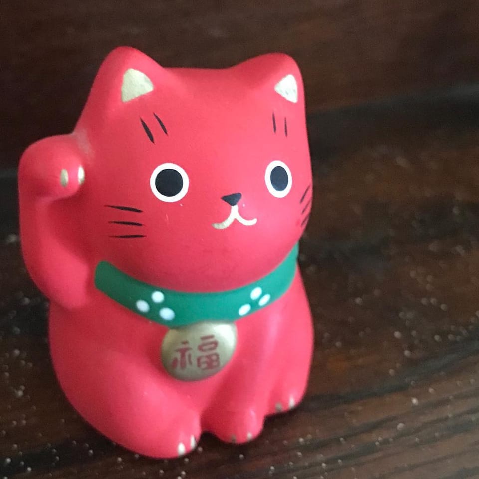 #nekochan...