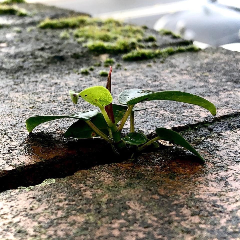 persistence...